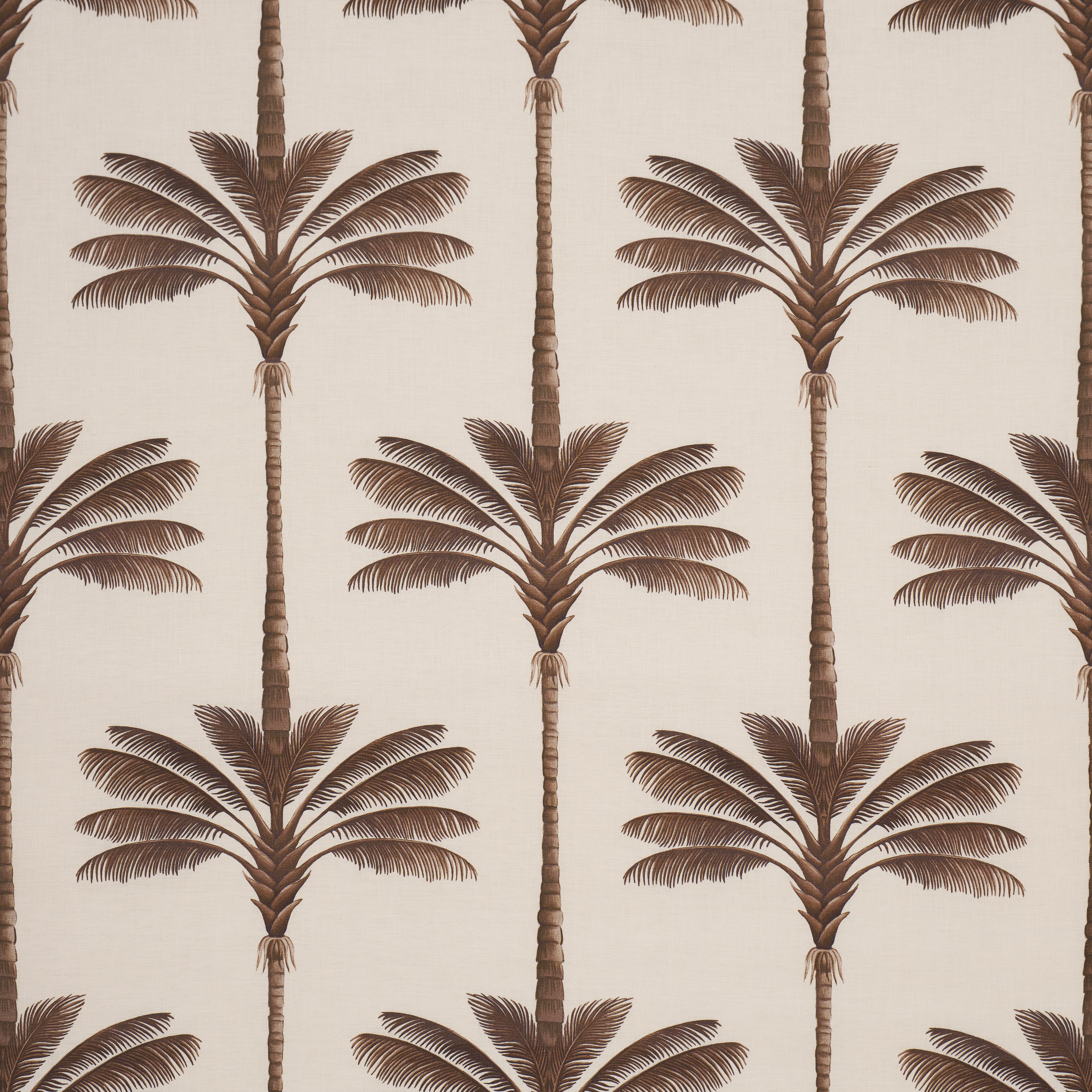 A PALM IS A PALM PRINT