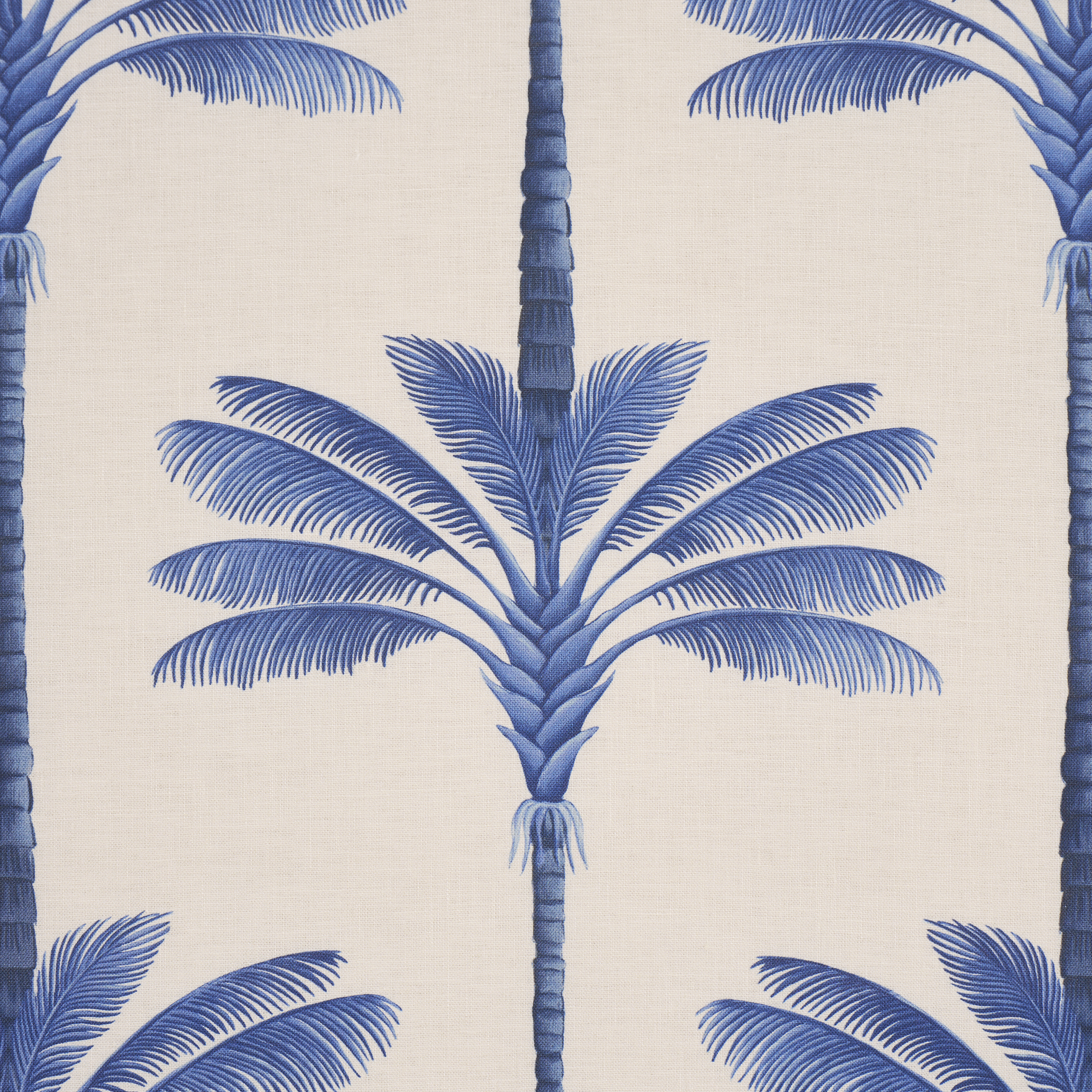 A Palm Is A Palm Print