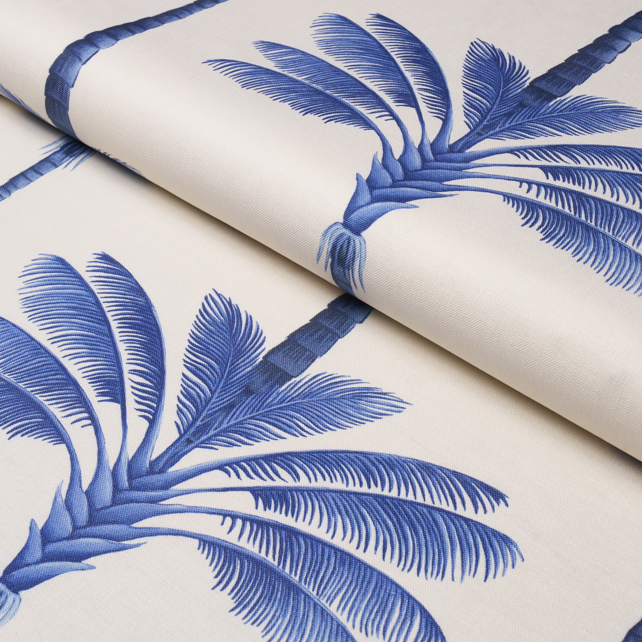 A Palm Is A Palm Print