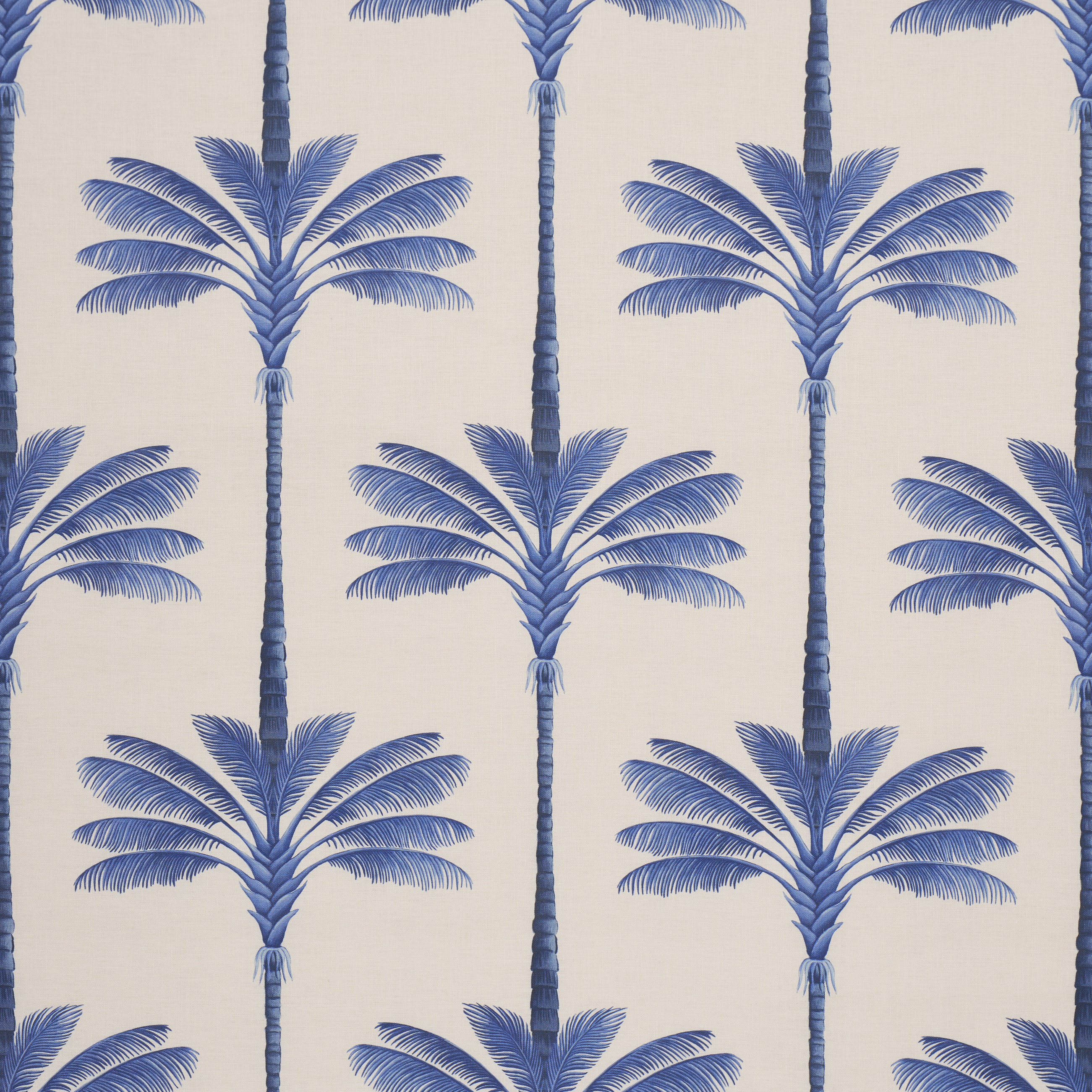 A Palm Is A Palm Print