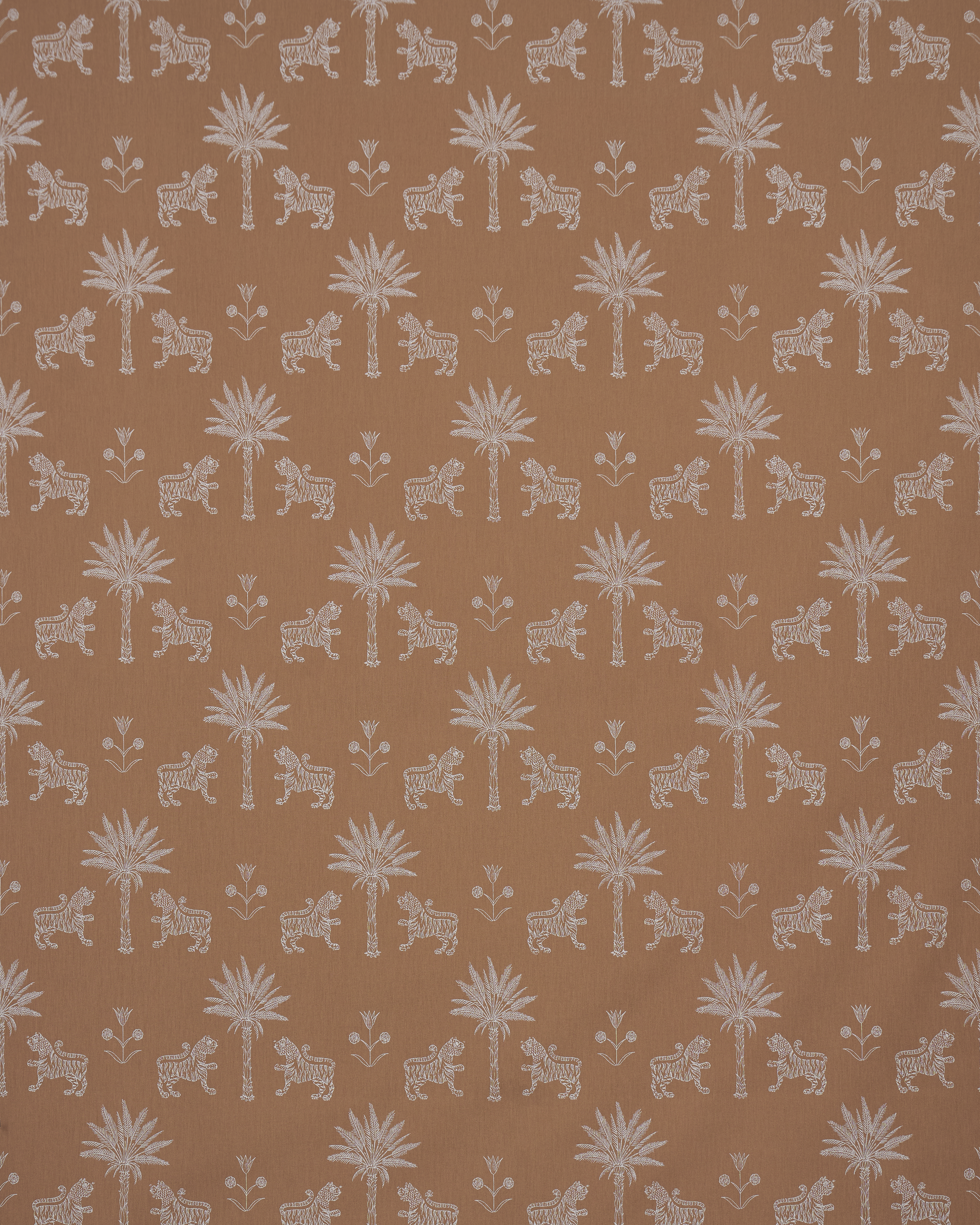 Tiger Palm Silhouette Outdoor