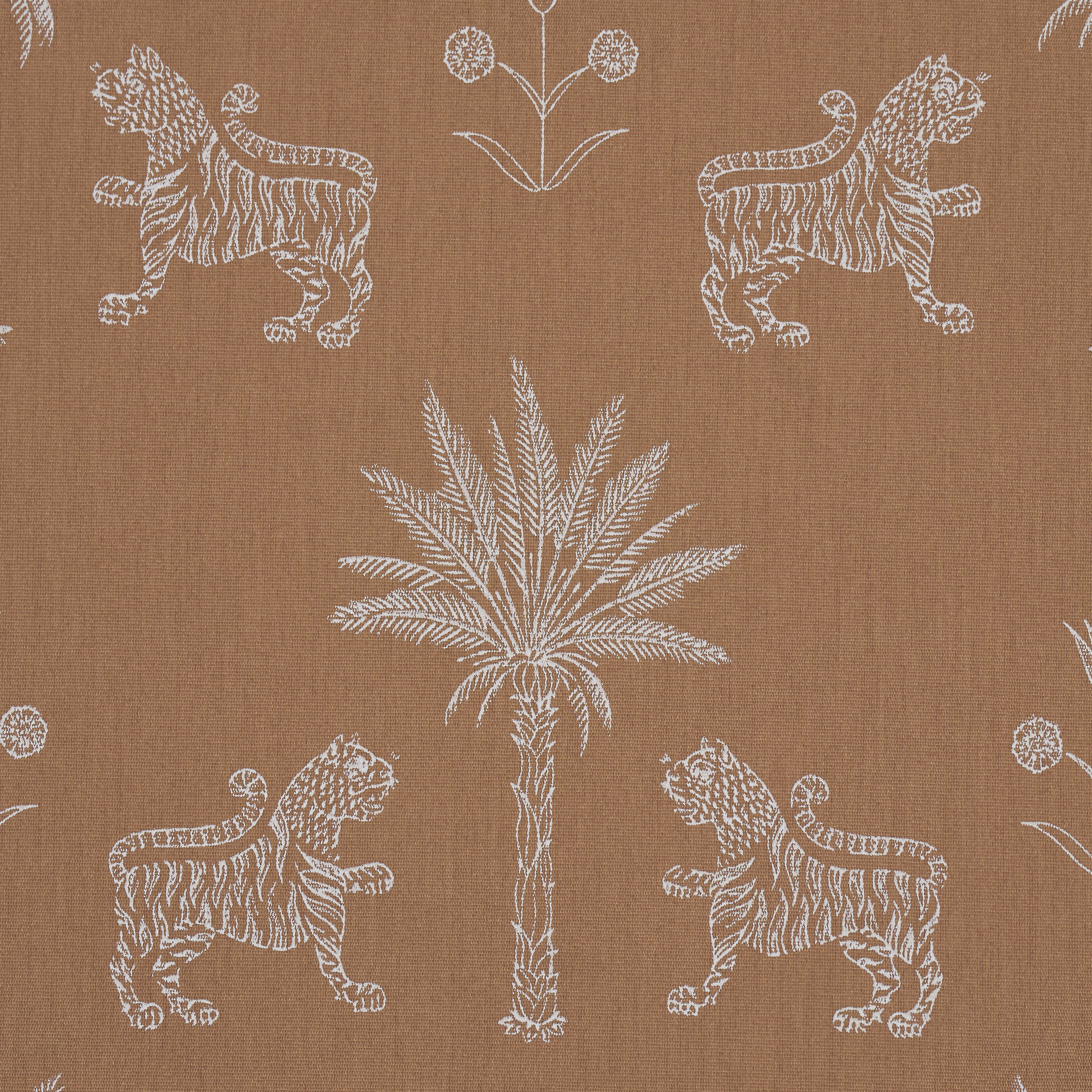 Tiger Palm Silhouette Outdoor