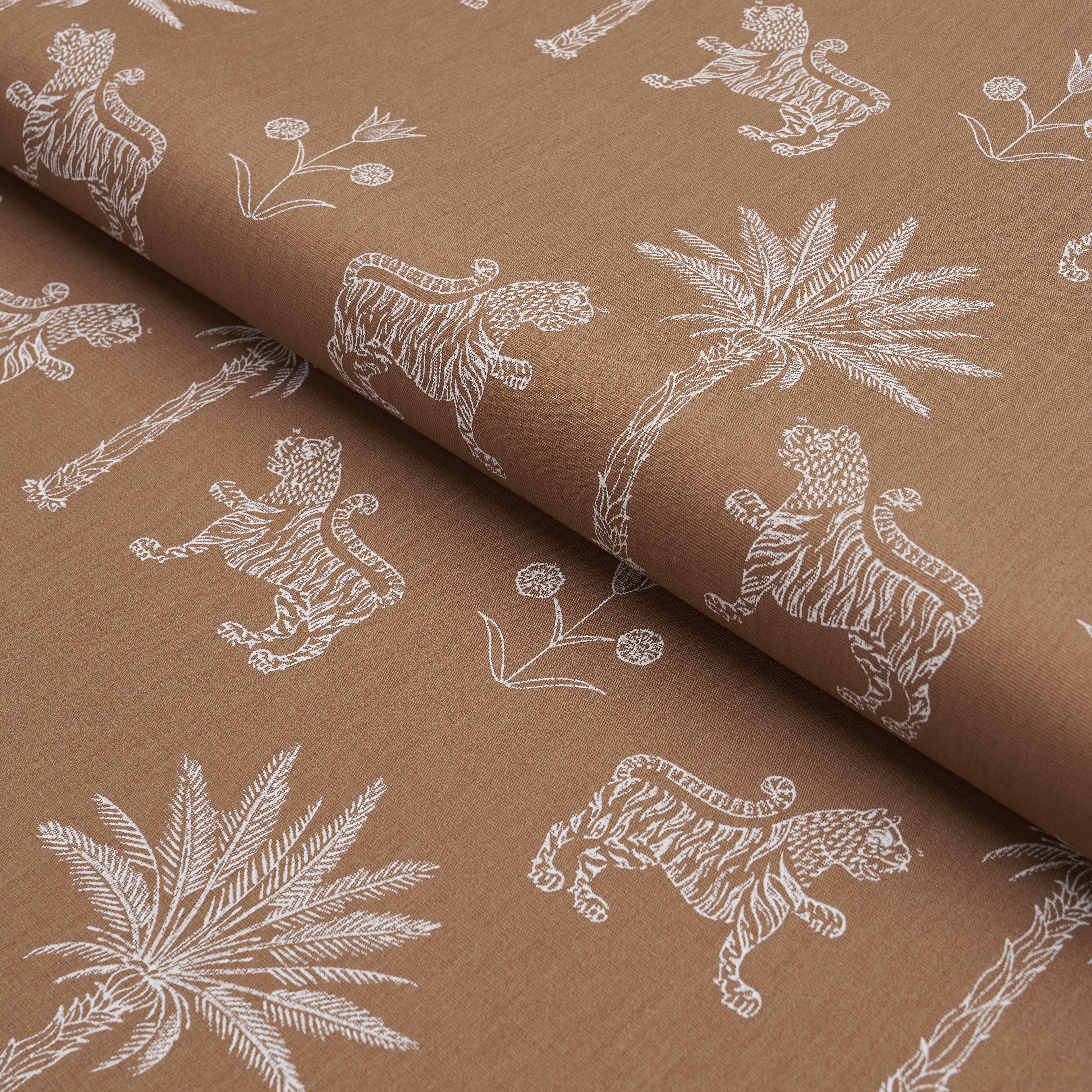 Tiger Palm Silhouette Outdoor