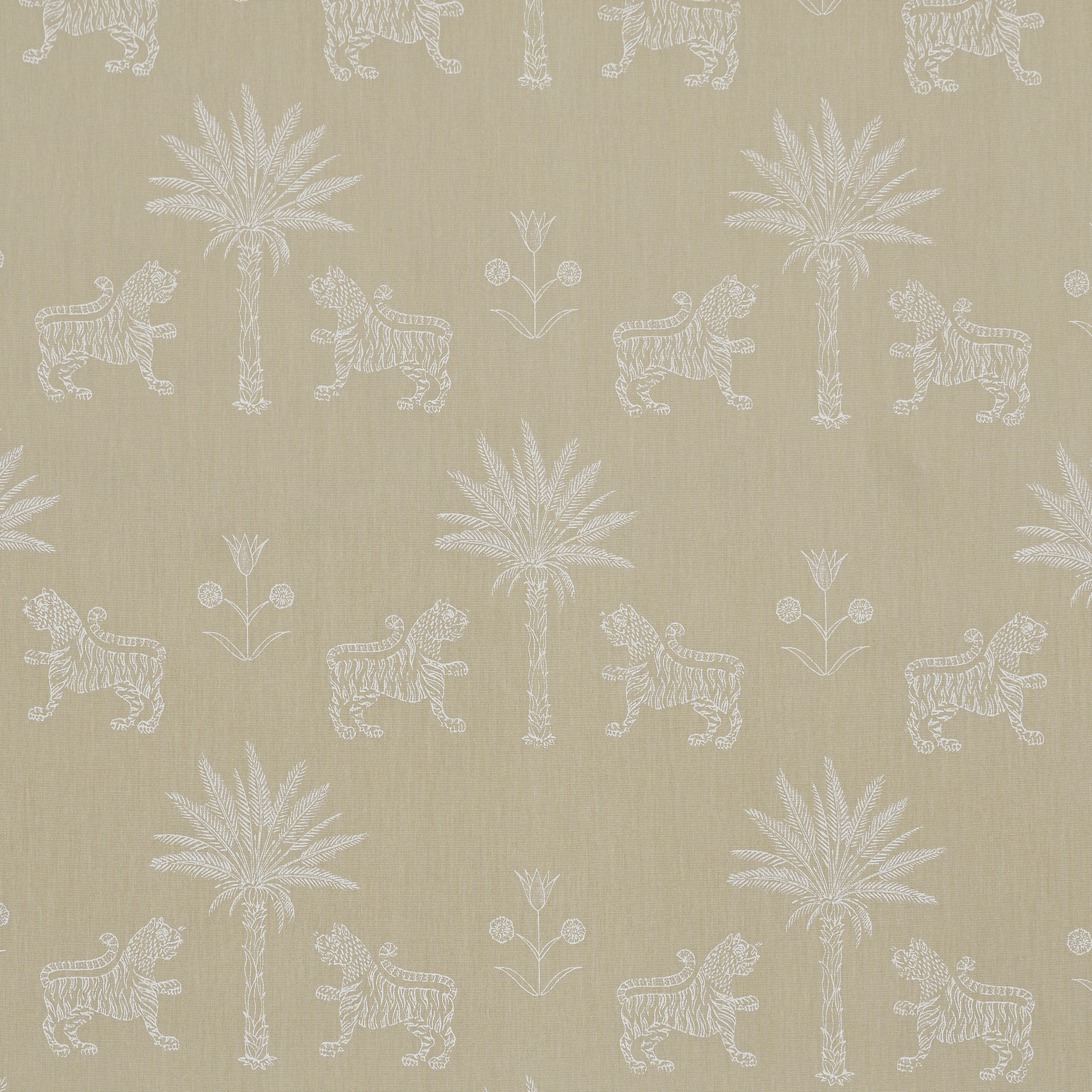 TIGER PALM SILHOUETTE OUTDOOR