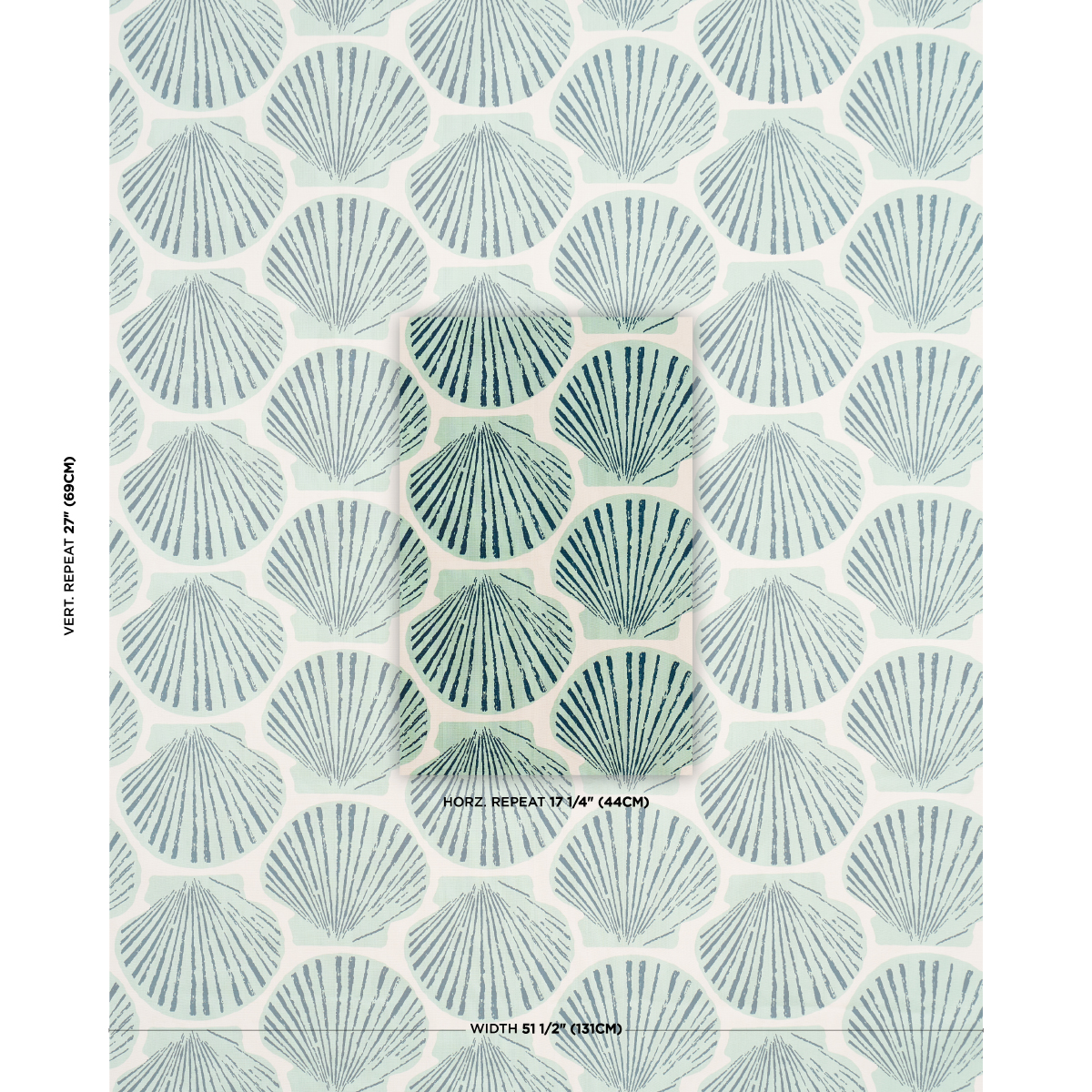 Scallop Shell