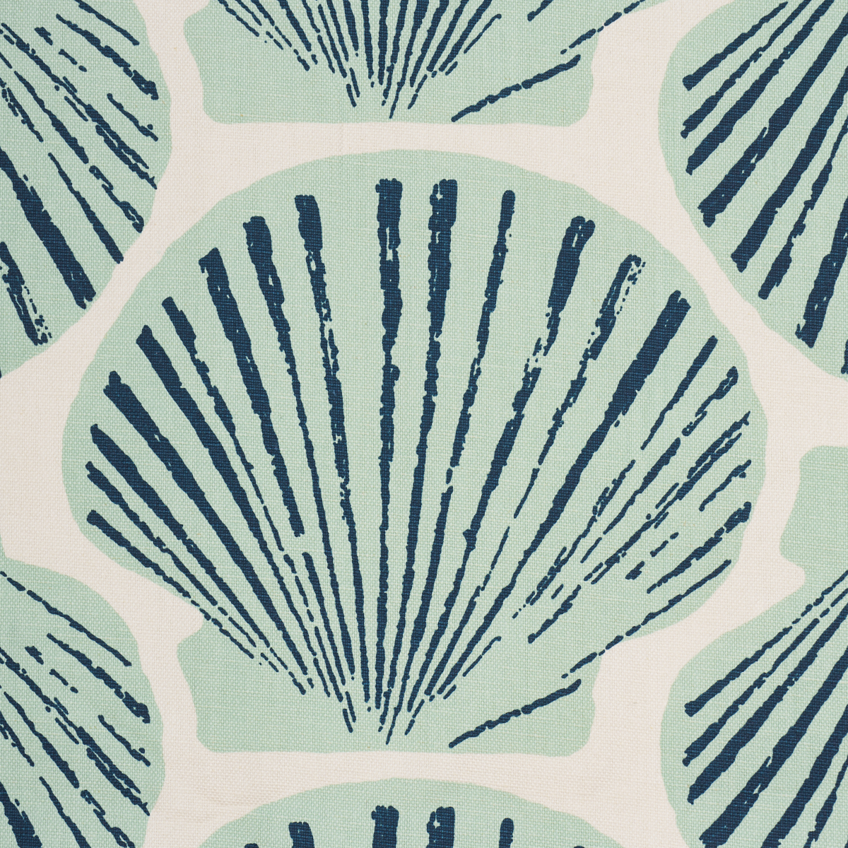 Scallop Shell