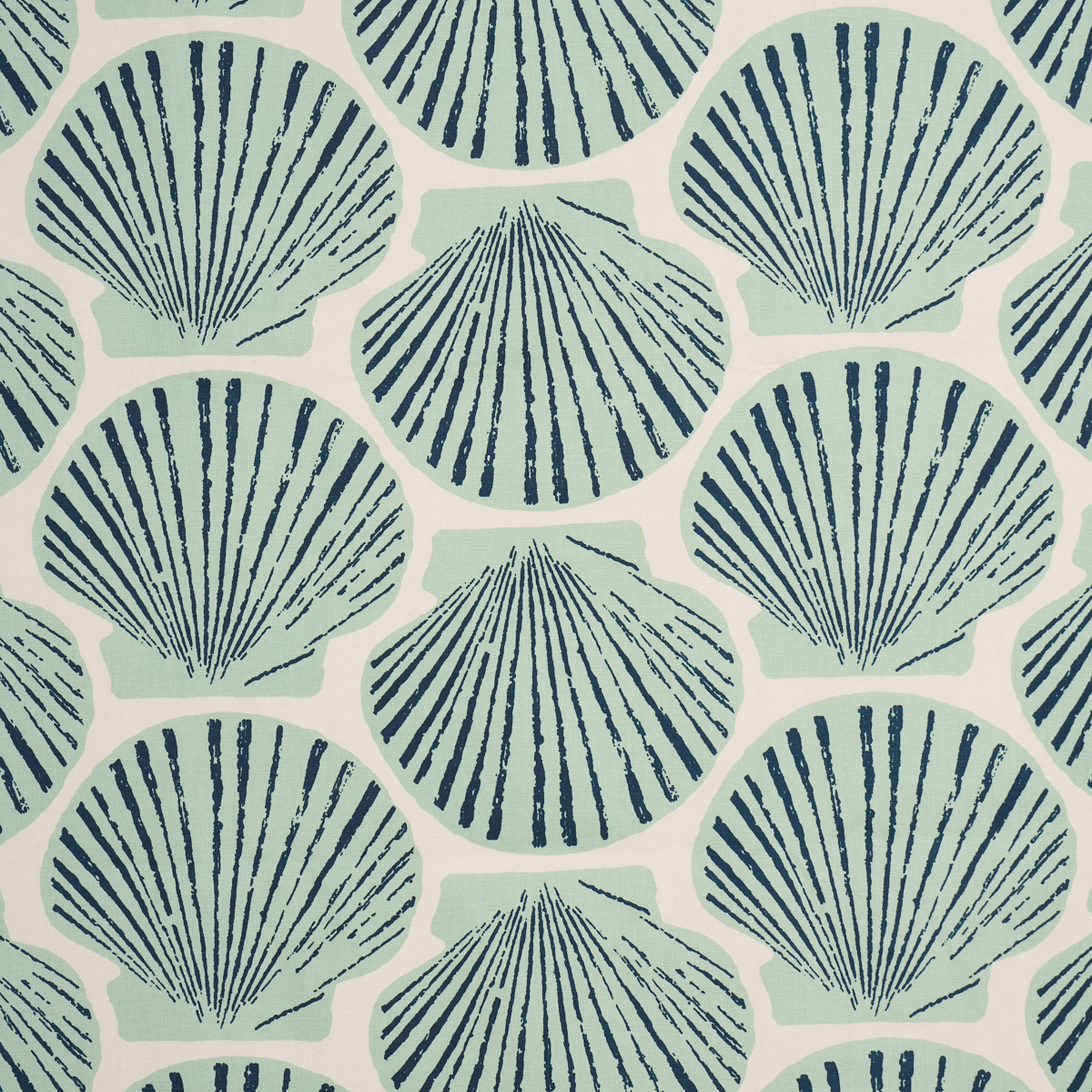 Scallop Shell