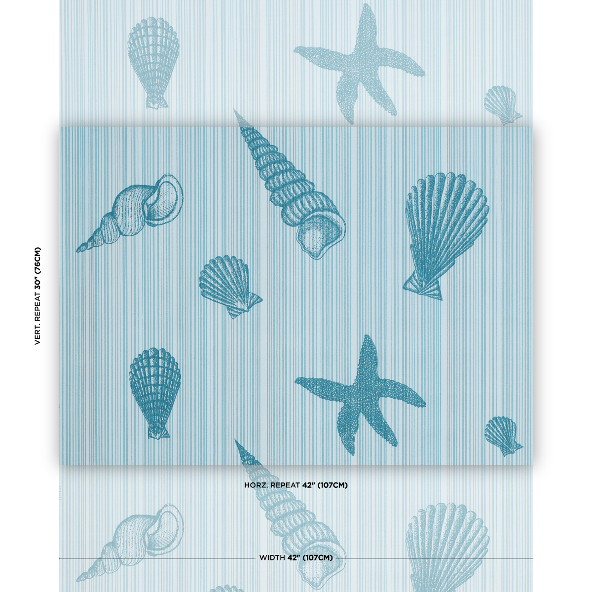 Seashells