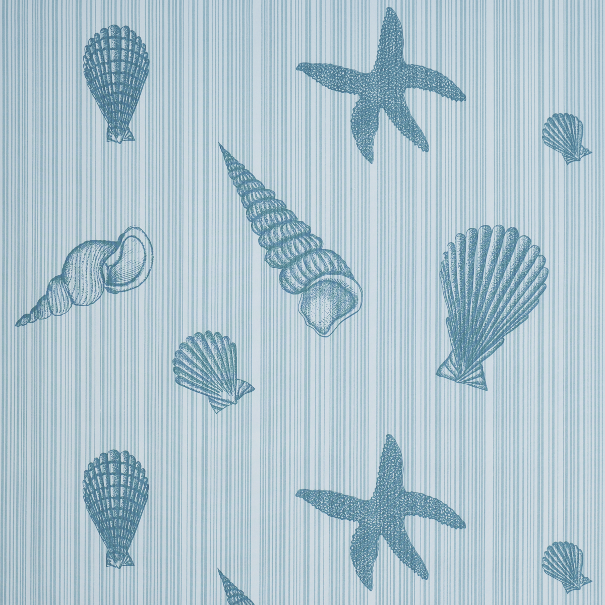 Seashells