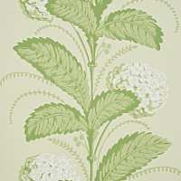 Hydrangea Drape