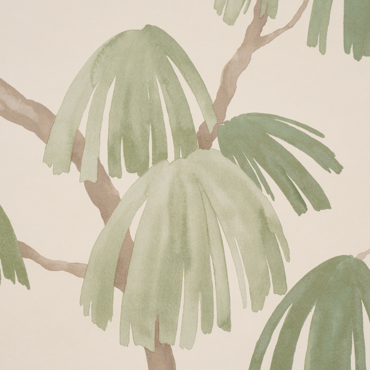 Weeping Pine