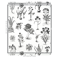 Cabot Botanical Large