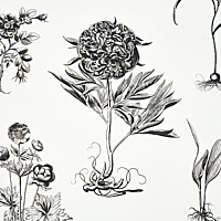 Cabot Botanical Large