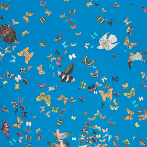 Queen's Flight Panel Set