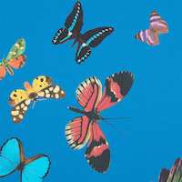 Queen's Flight Panel Set