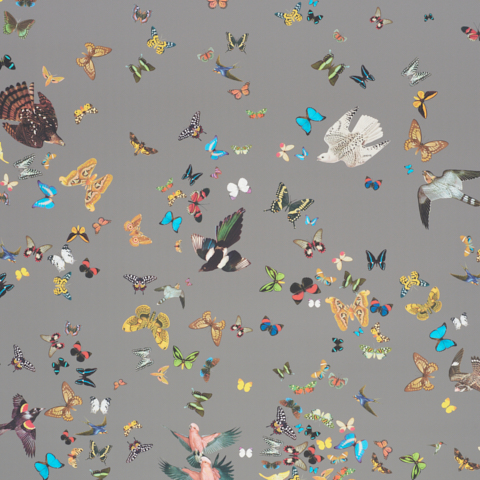 Queen's Flight Panel Set