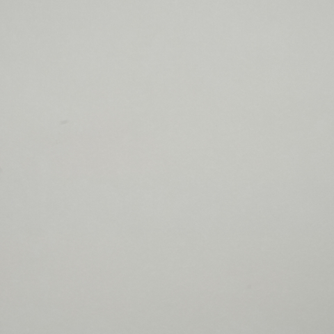 Chariot Of Dawn Toile Ground