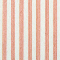 Edwin Stripe Narrow