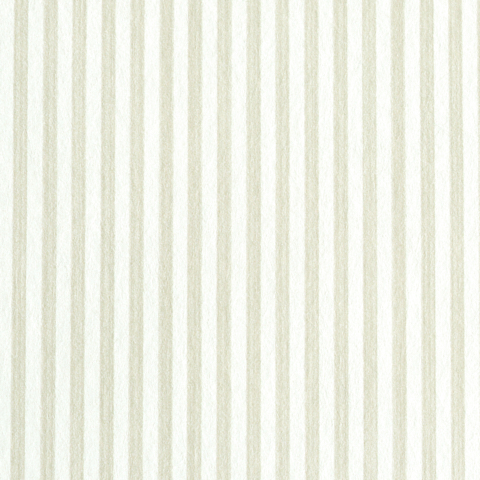 EDWIN STRIPE NARROW