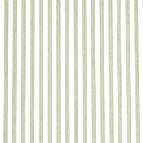 EDWIN STRIPE NARROW