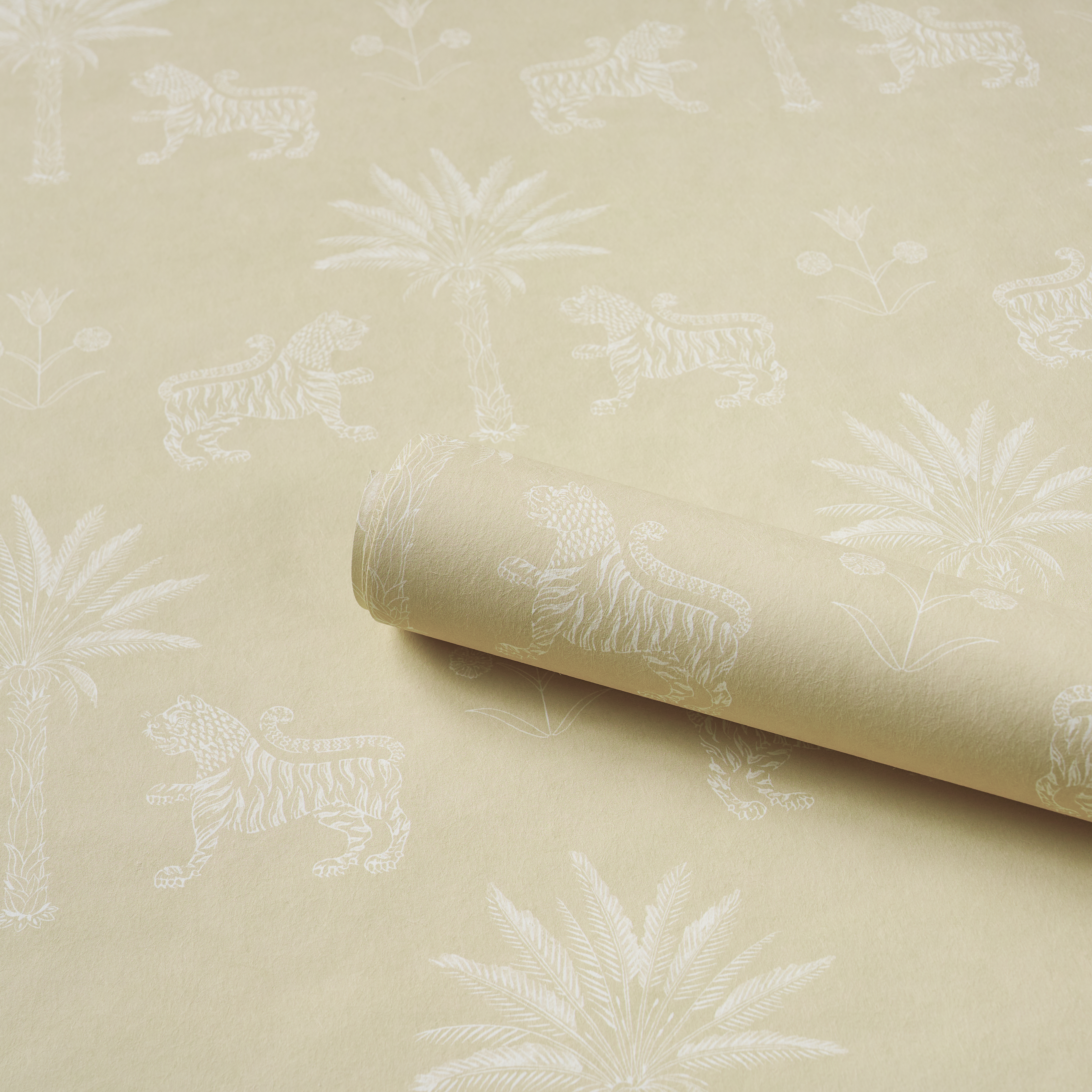 Tiger Palm Silhouette