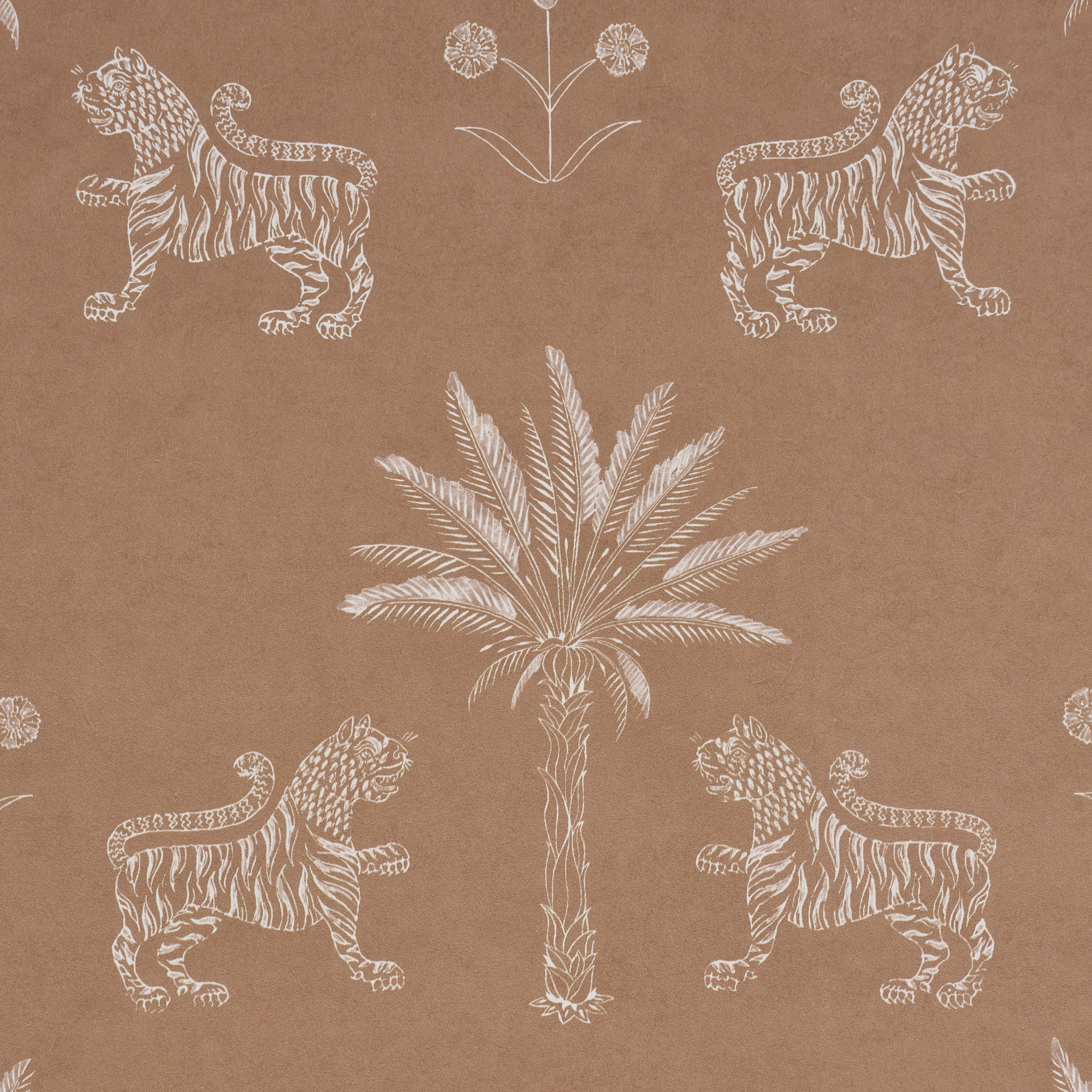 Tiger Palm Silhouette