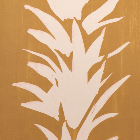White Lotus