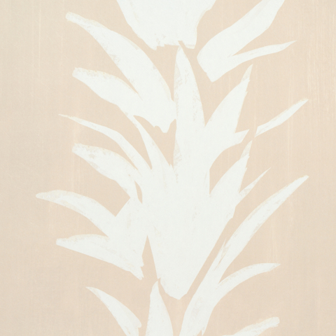 White Lotus