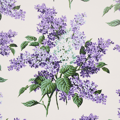 Proust's Lilacs