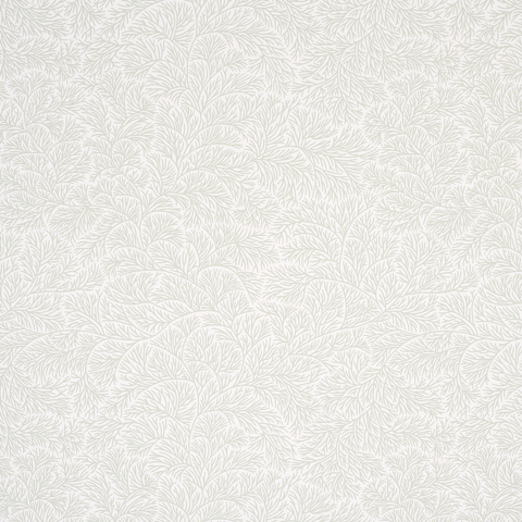 Bougainvillea Wallpapers - Leaf Green
