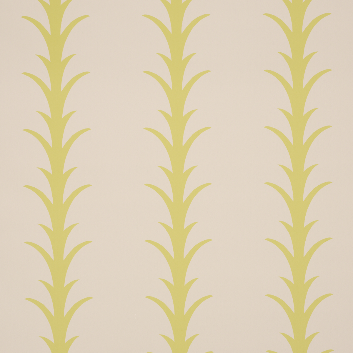ACANTHUS STRIPE