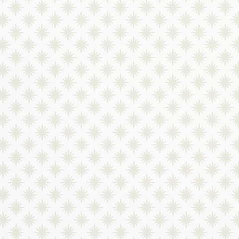 Star Anise Wallpapers - Mink