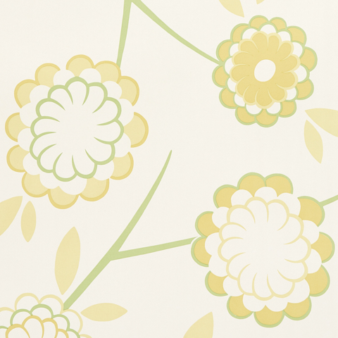 Birdtree Wallpapers - Mimosa
