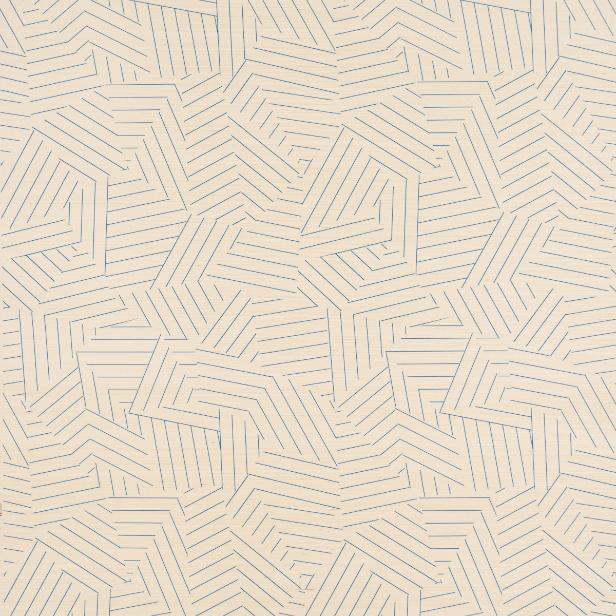 DECONSTRUCTED STRIPE SISAL