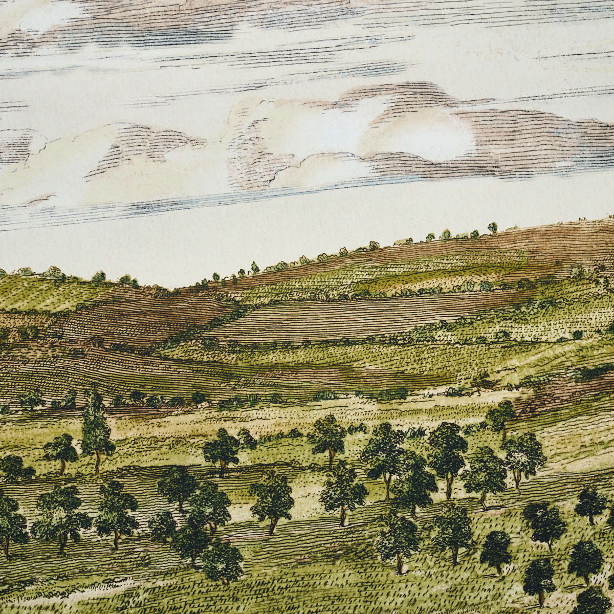 Mr. Darcy 3 Panel Set