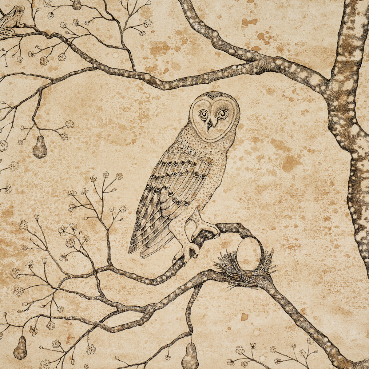 L’attesa Nella Notte