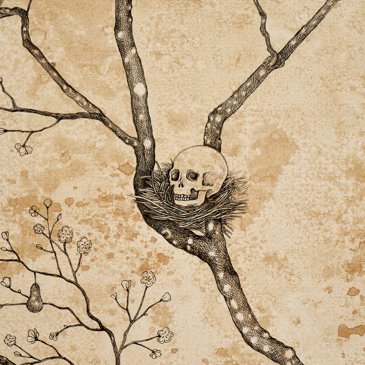 L’attesa Nella Notte