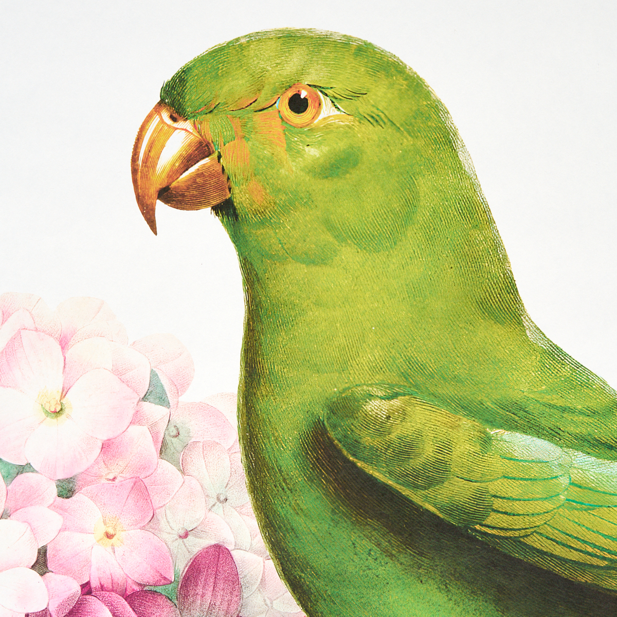 Flores Paradisi 4 Panel Set