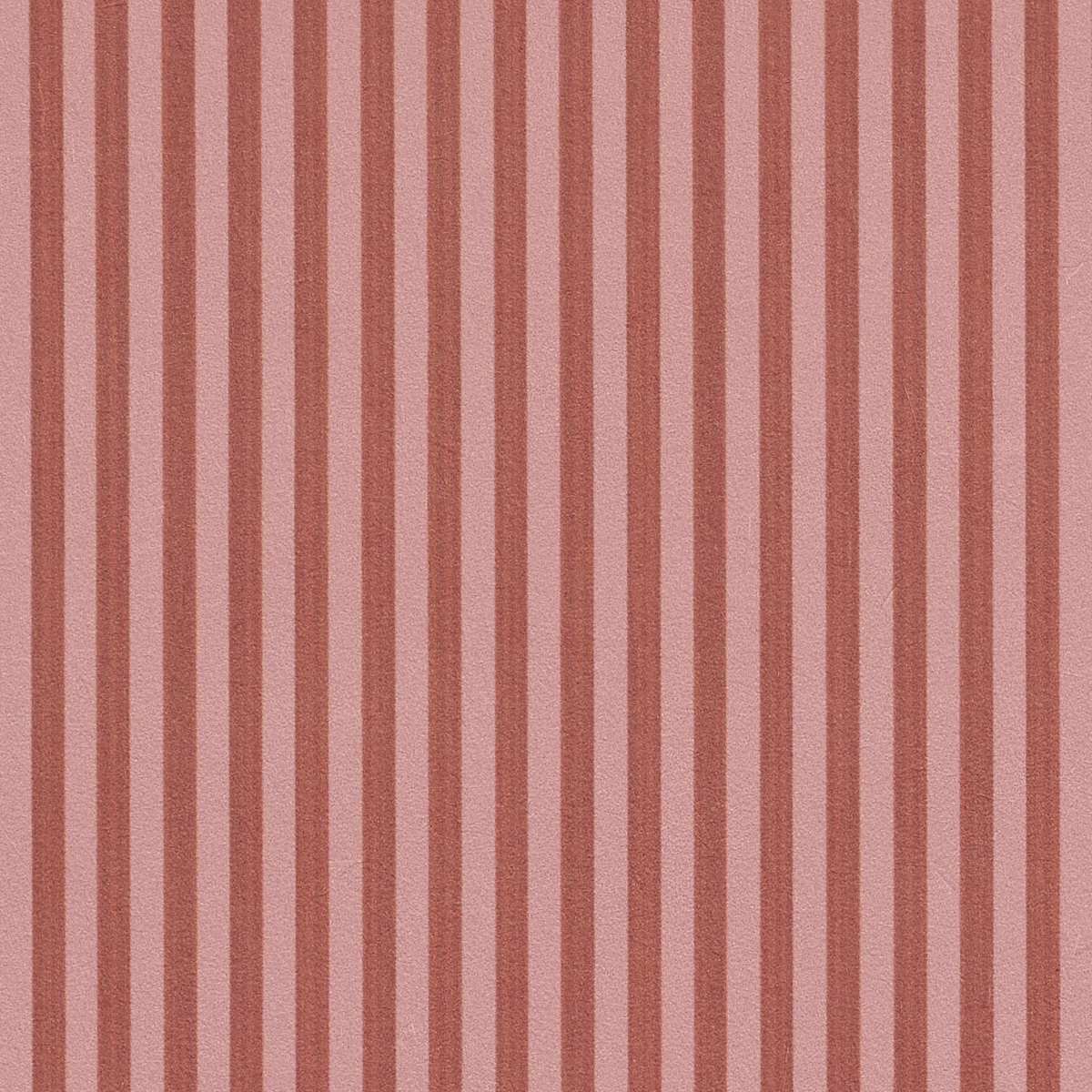 Edwin Stripe Narrow