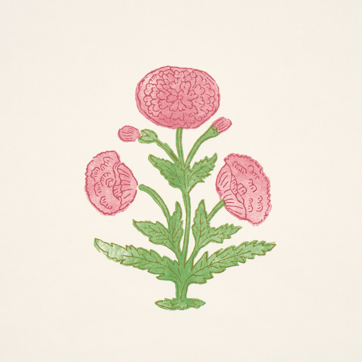Poppy Print