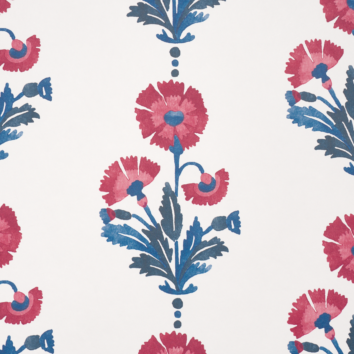 Dianthus Print