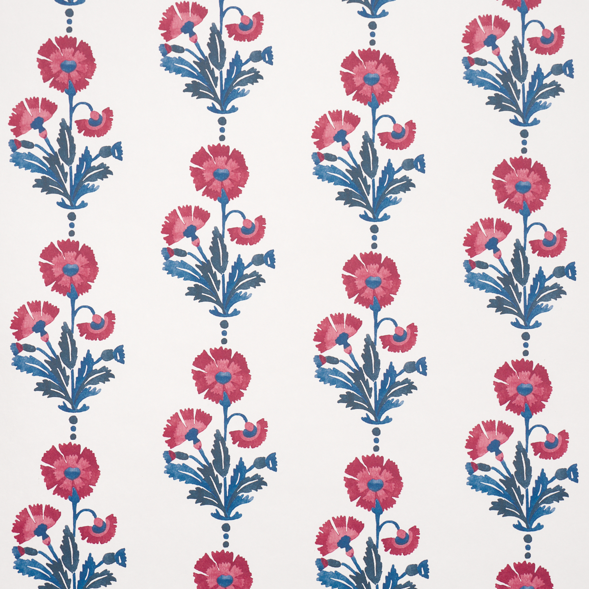 Dianthus Print