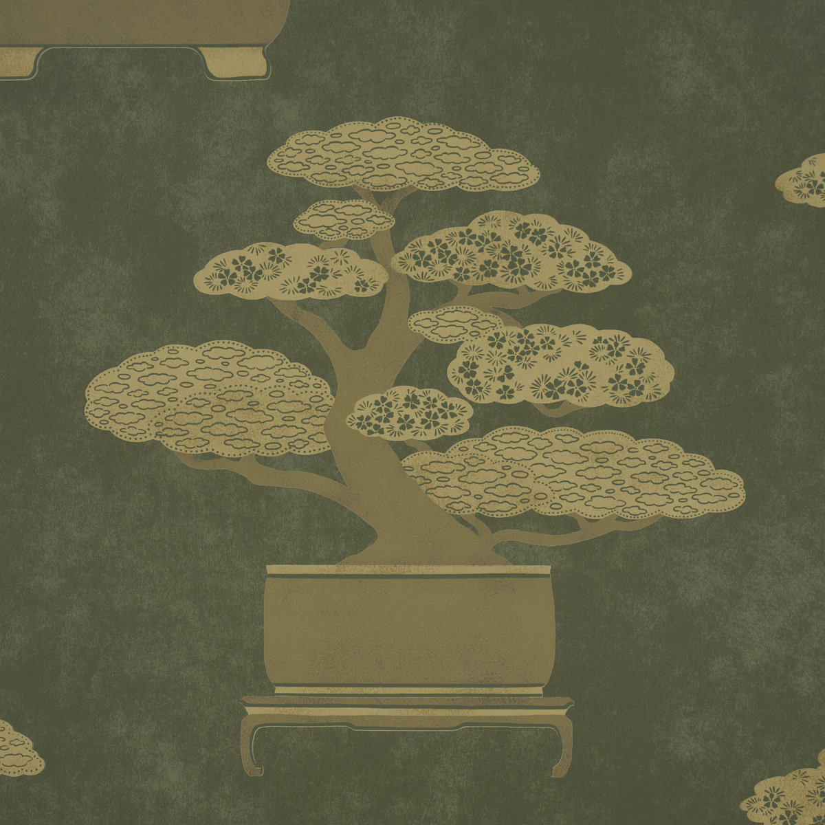 Bonsai Tree