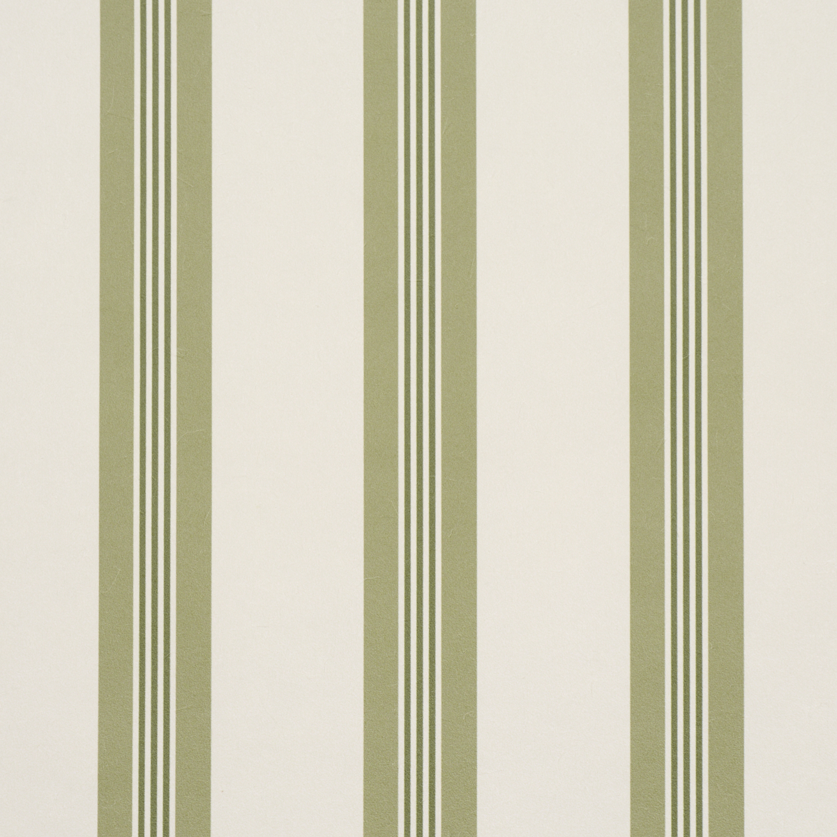 Chatham Stripe