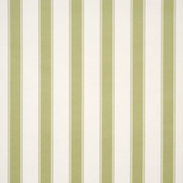 Rafe Stripe