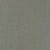 Tiepolo Shantung Weave