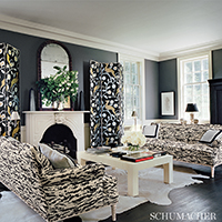 Les Gazelles Au Bois