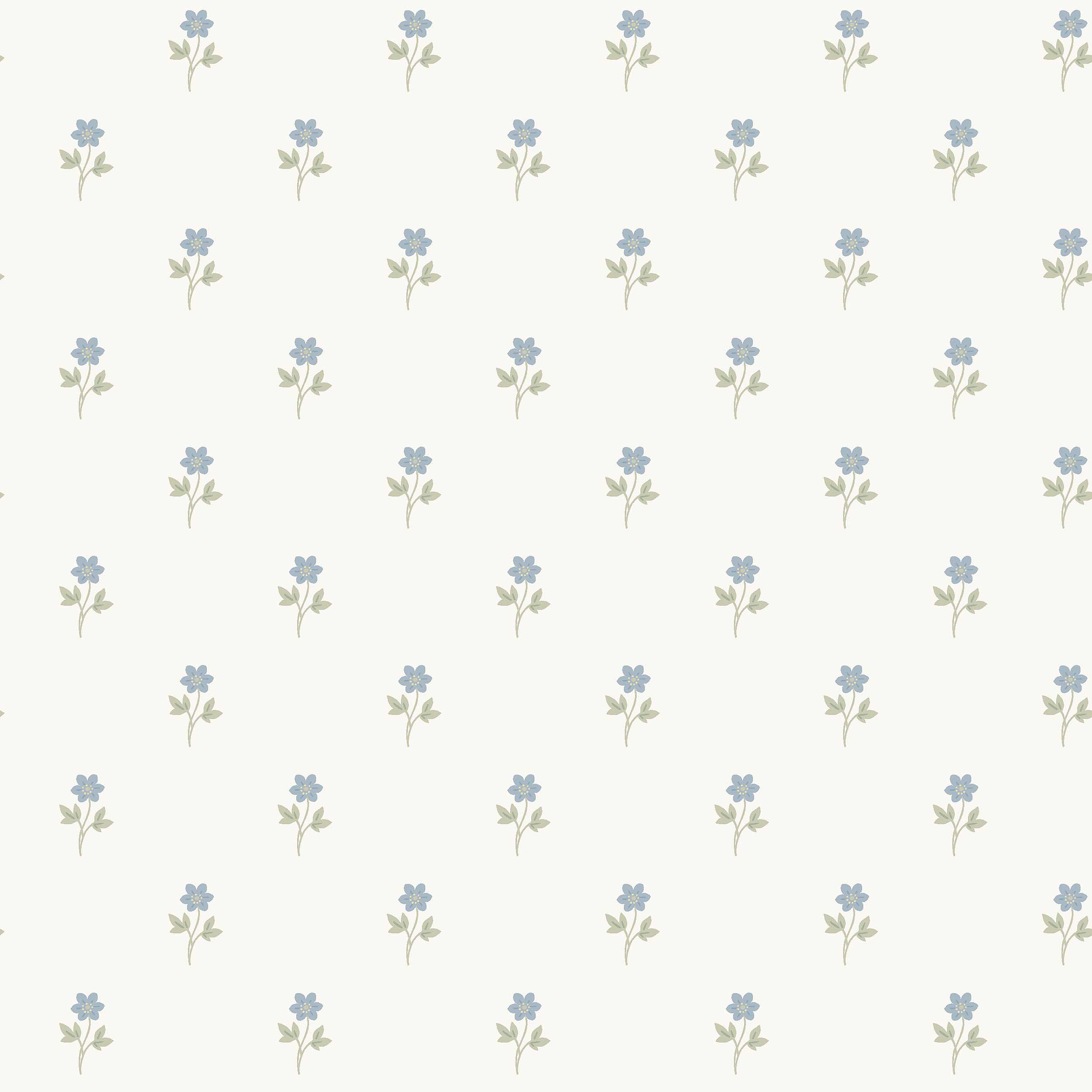 ANEMONE BY BORÅSTAPETER