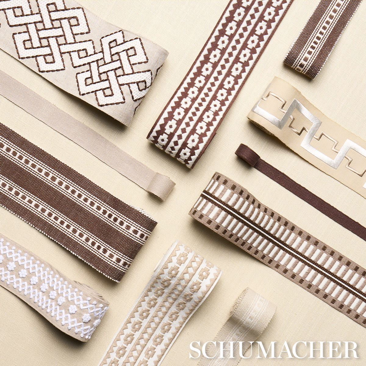 Nautilina Embroidered Tape - Ivory Trims | Schumacher
