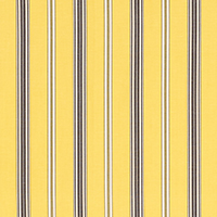 COCO STRIPE